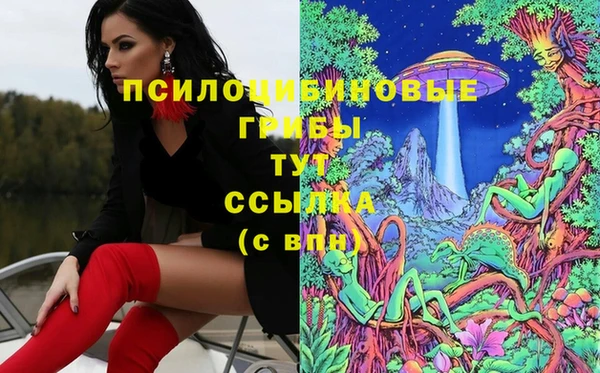 бутират Елизово