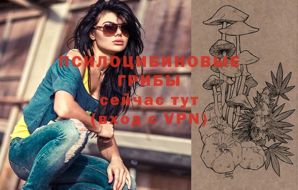 mdpv Елабуга