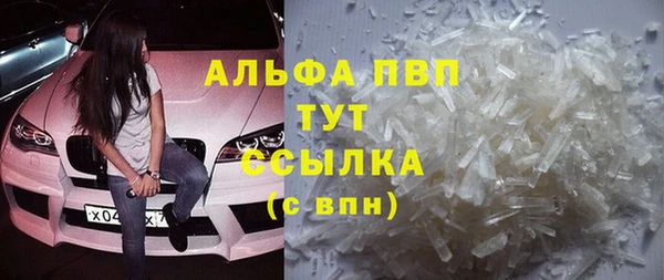 прущие крисы Ельня