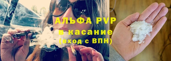 прущие крисы Ельня