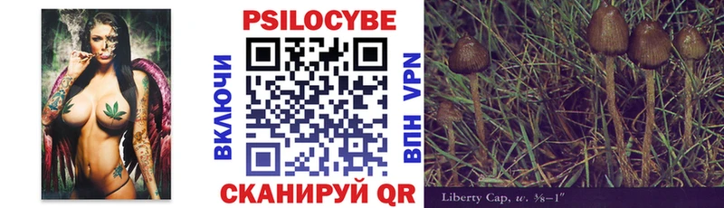 купить   Пикалёво  Псилоцибиновые грибы MAGIC MUSHROOMS 